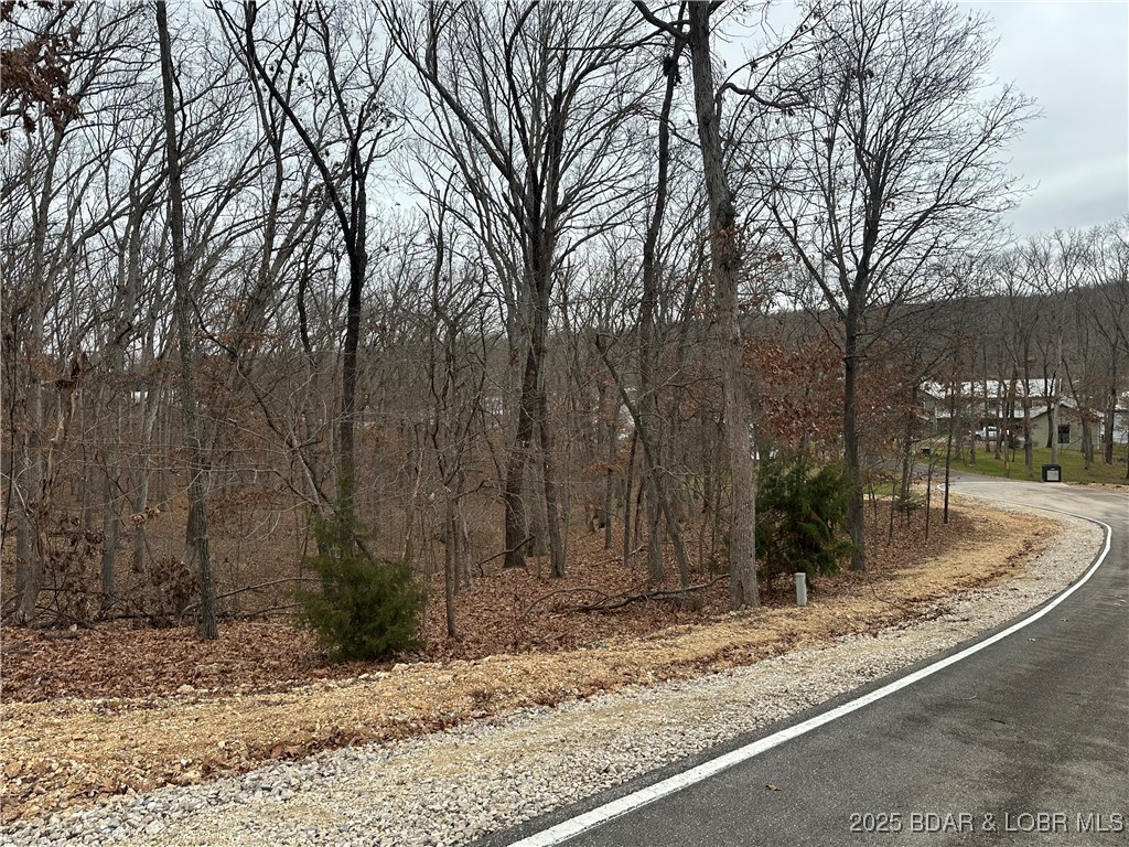 Lot 371 Cornette Cove #2 Property Photo 11