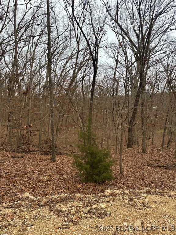 Lot 371 Cornette Cove #2 Property Photo 12