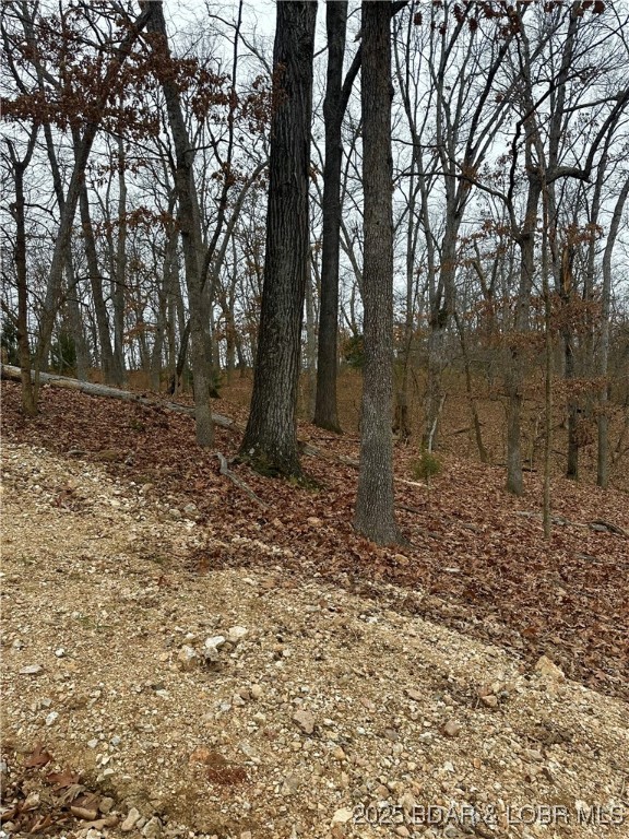 Lot 371 Cornette Cove #2 Property Photo 13