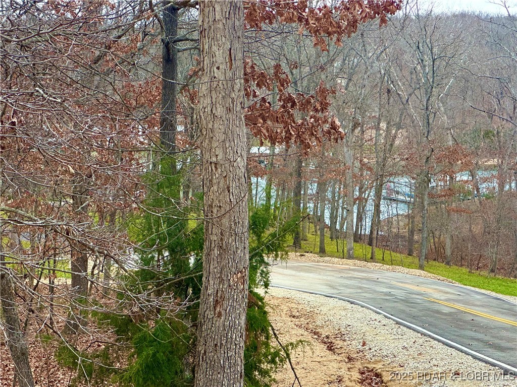 Lot 371 Cornette Cove #2 Property Photo 14