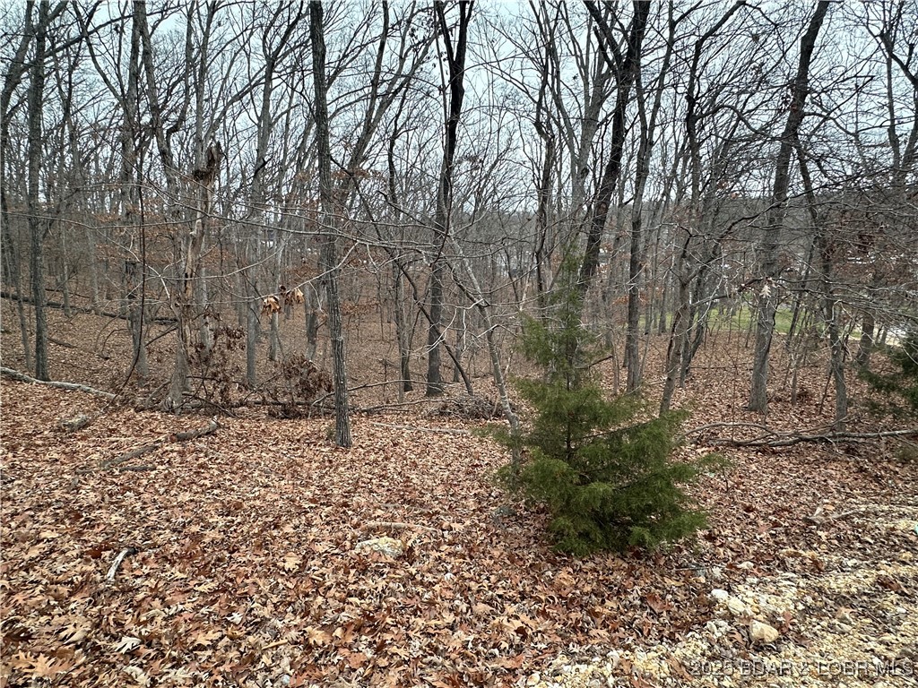 Lot 371 Cornette Cove #2 Property Photo 15