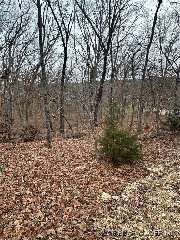 Lot 371 Cornette Cove #2 Property Photo 16