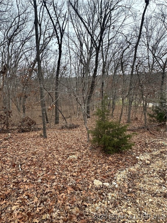 Lot 371 Cornette Cove #2 Property Photo 17