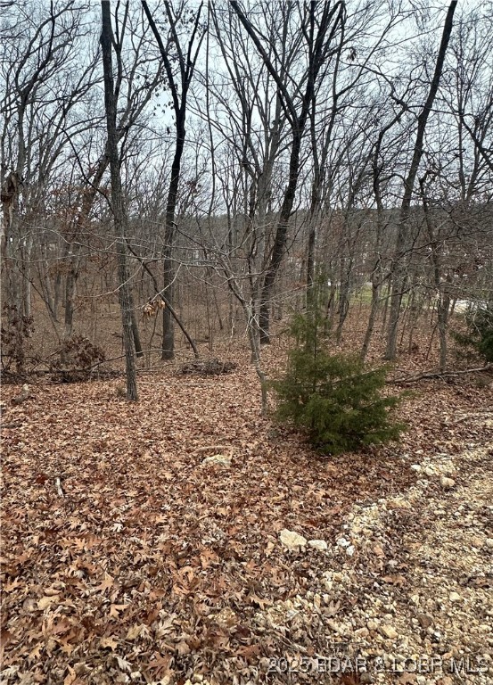 Lot 371 Cornette Cove #2 Property Photo 18