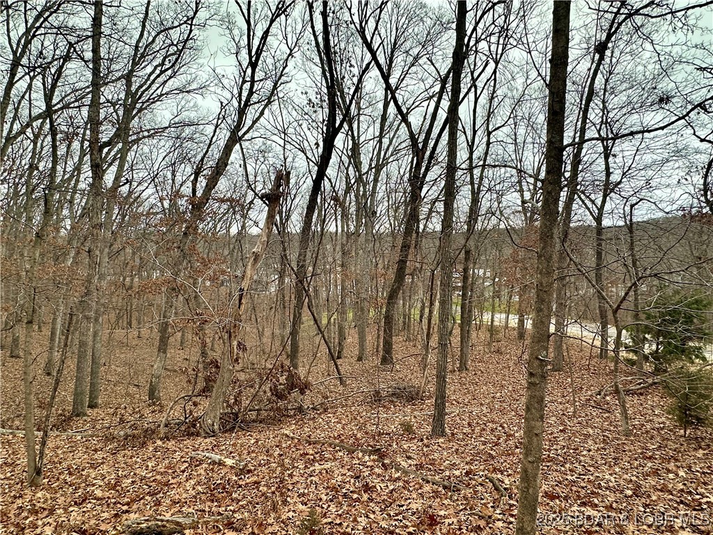 Lot 371 Cornette Cove #2 Property Photo 19