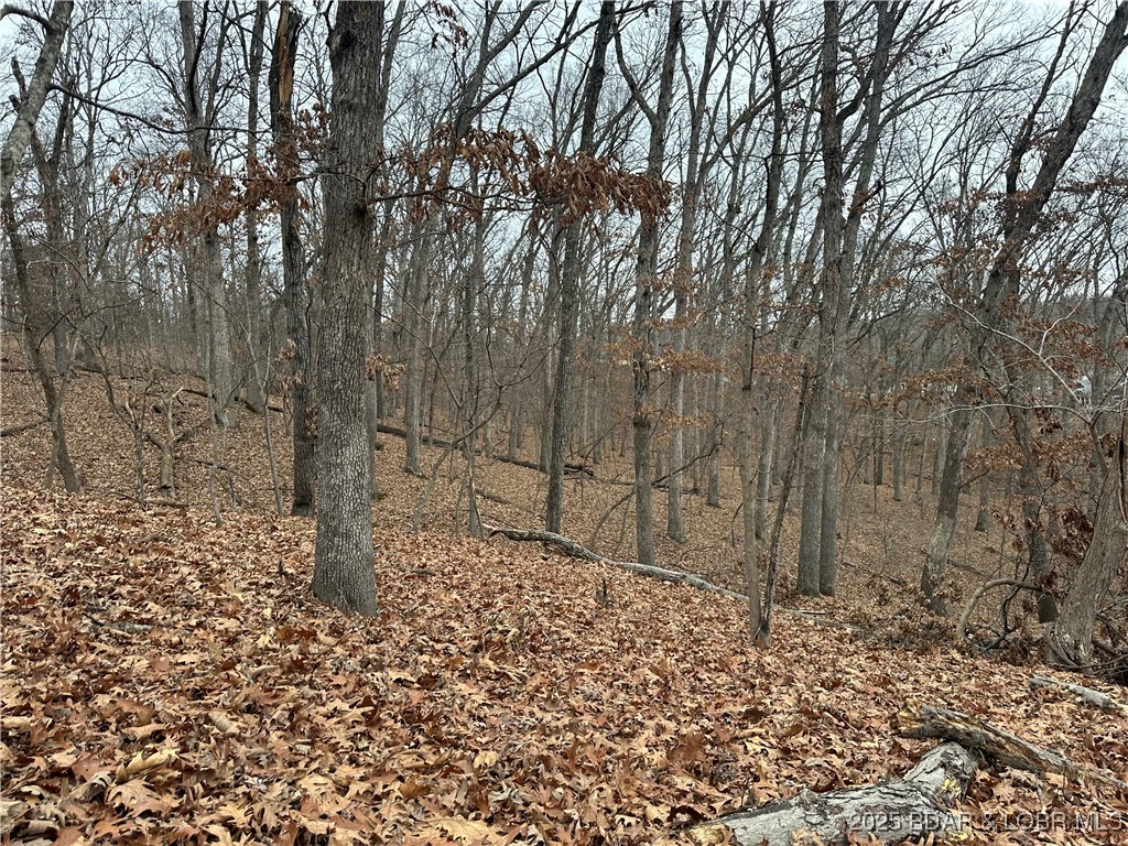 Lot 371 Cornette Cove #2 Property Photo 20