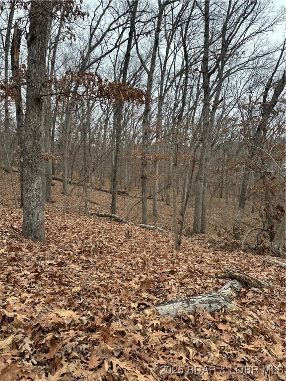 Lot 371 Cornette Cove #2 Property Photo 21