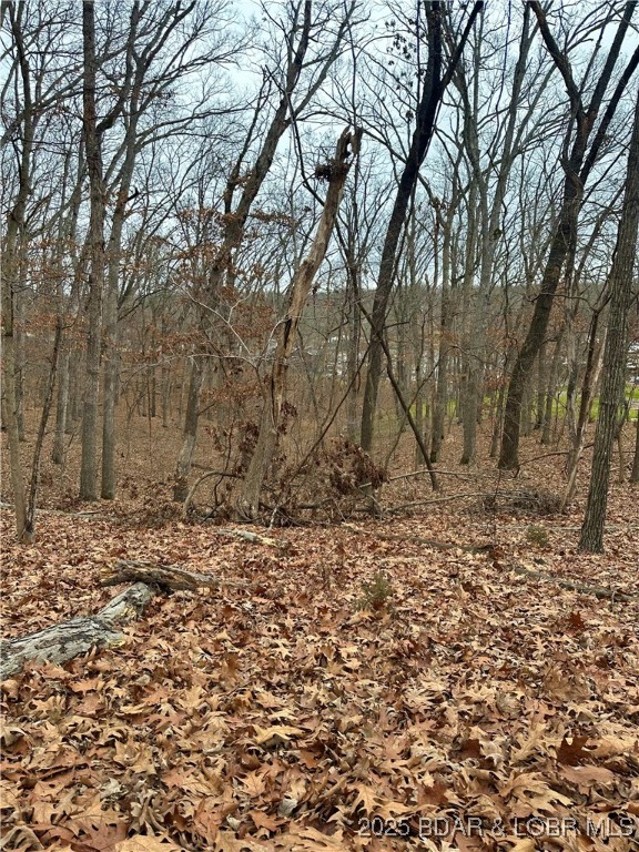 Lot 371 Cornette Cove #2 Property Photo 22