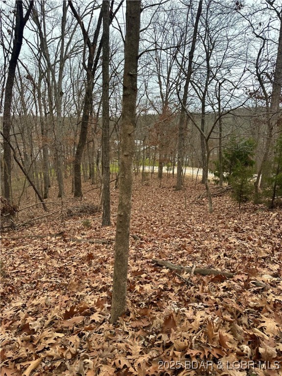 Lot 371 Cornette Cove #2 Property Photo 23