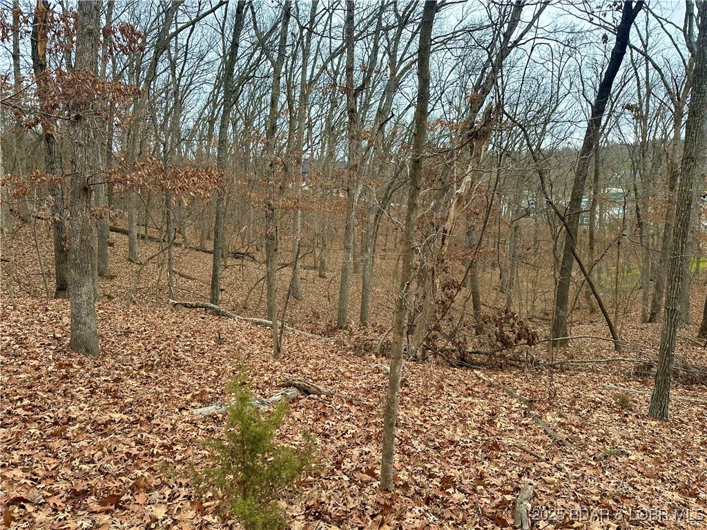 Lot 371 Cornette Cove #2 Property Photo 24