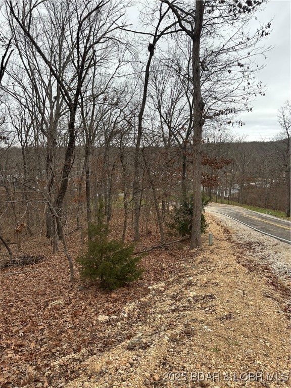 Lot 371 Cornette Cove #2 Property Photo 25