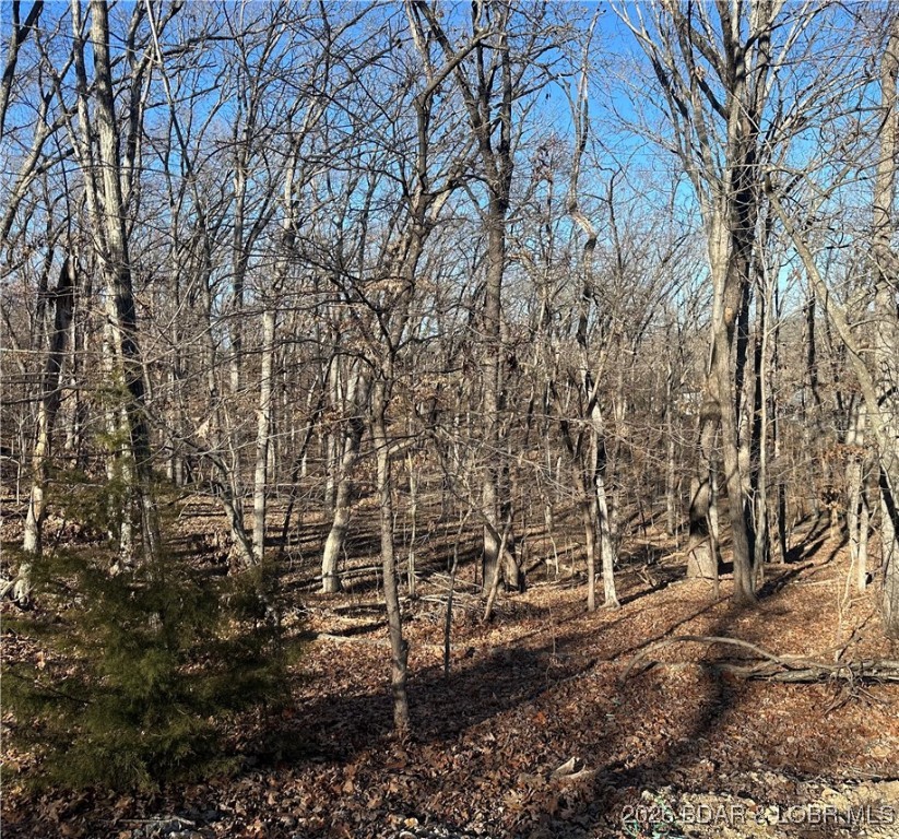Lot 371 Cornette Cove #2 Property Photo 28
