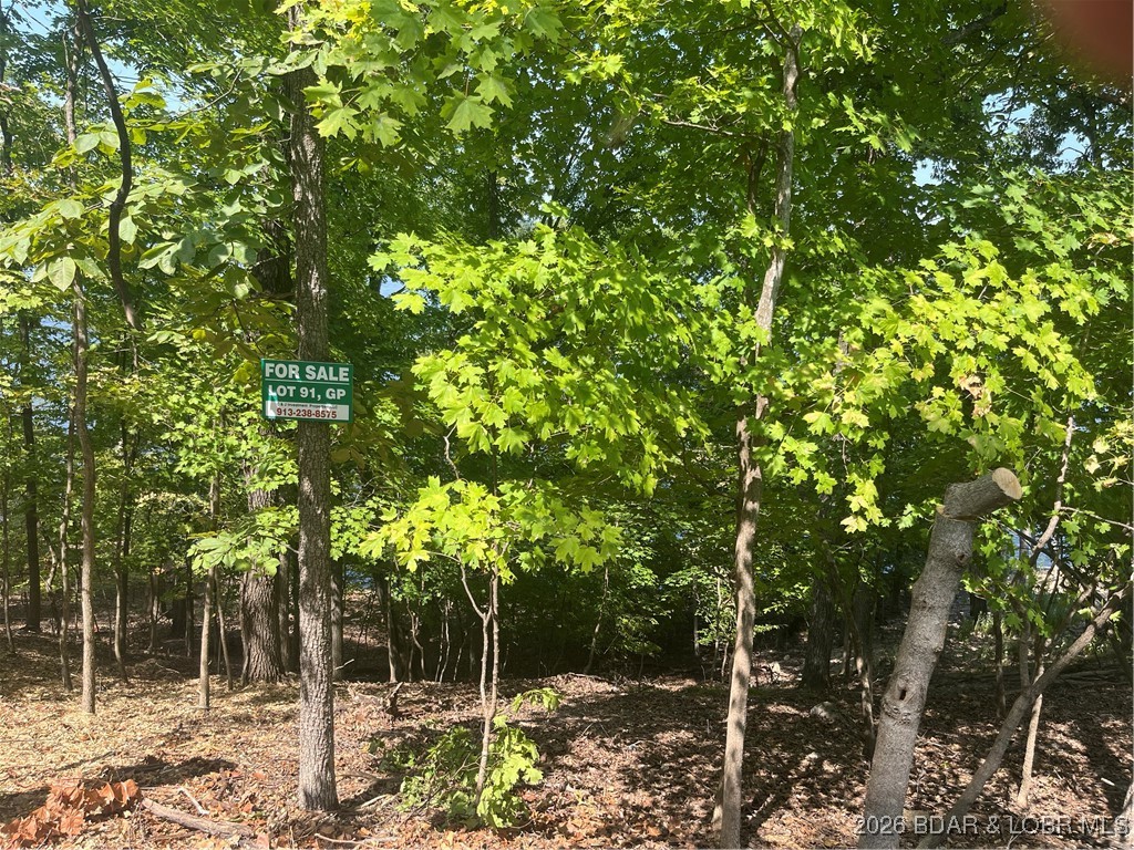 3583169 Property Photo 6