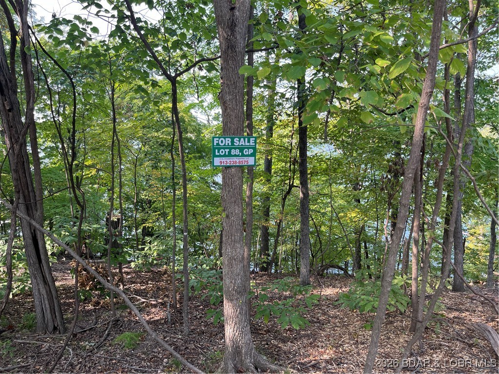 3583172 Property Photo 3