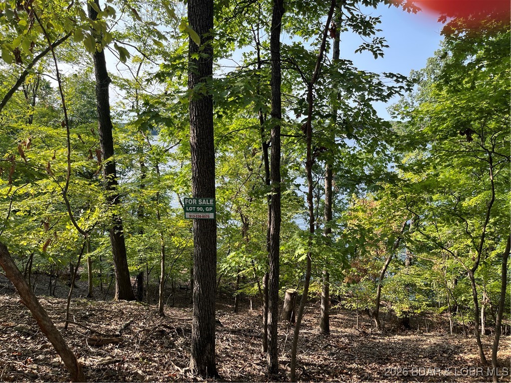 3583172 Property Photo 5