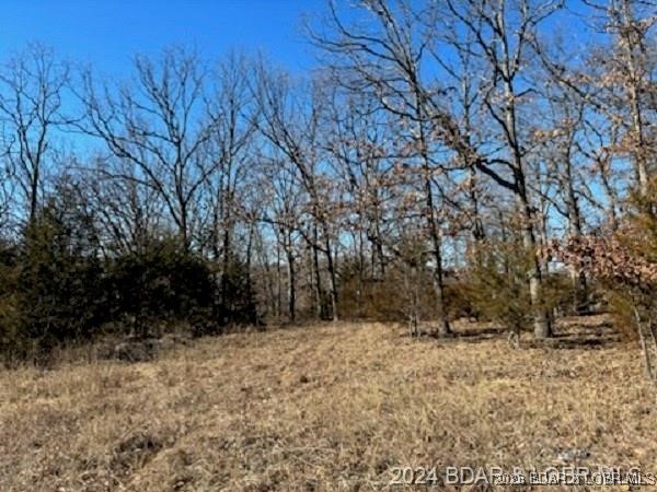 Tbd Buckingham Drive Property Photo 1