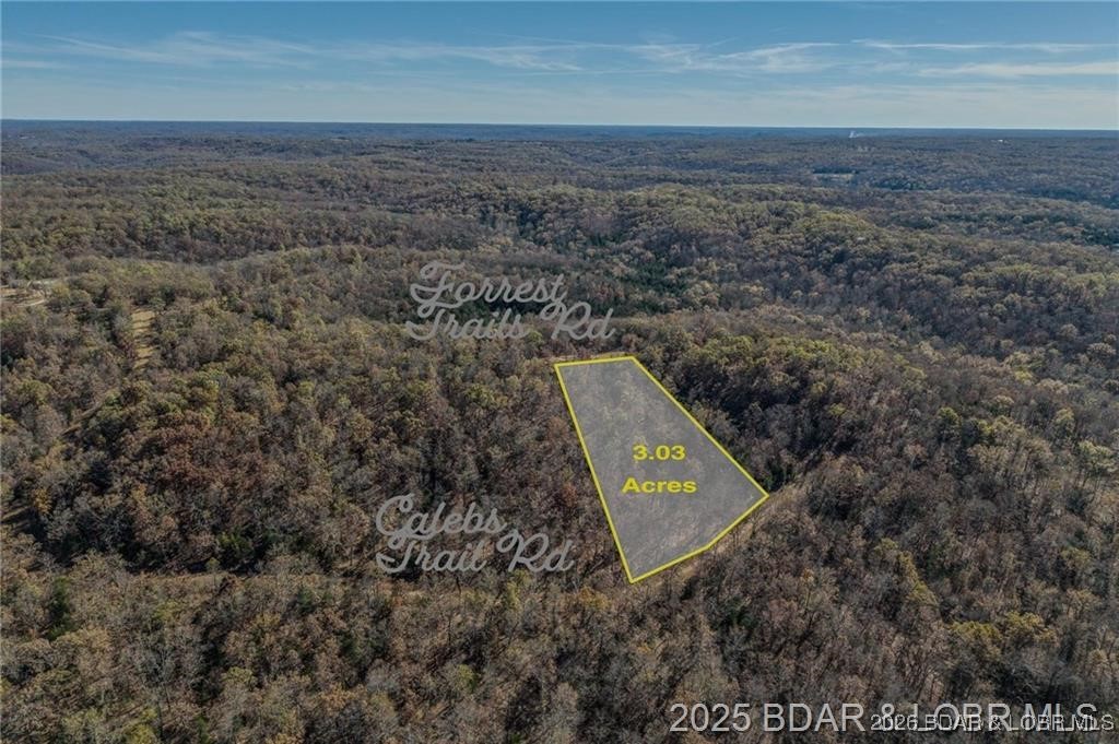 Lot 10 Forest Trails Road Property Photo 4