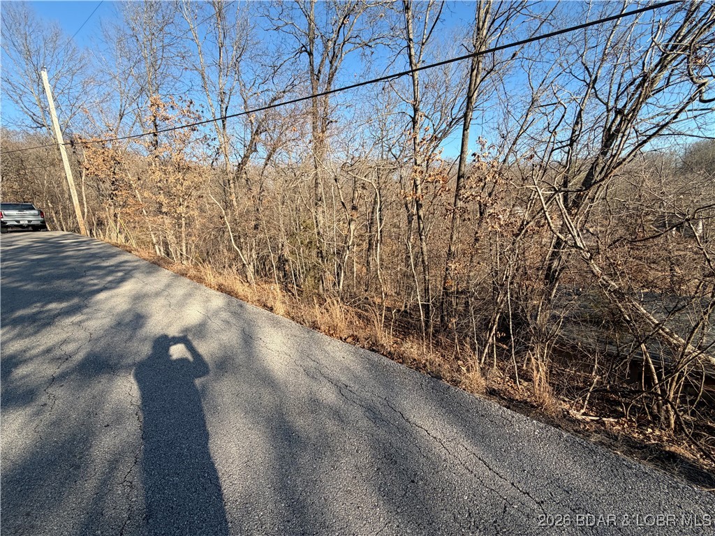Tbd Scenic Drive Property Photo 5
