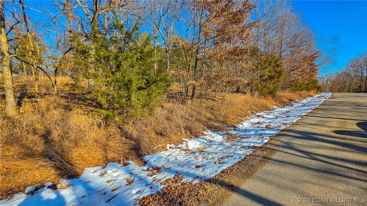 Lot #1356 Champion Drive Property Photo 1