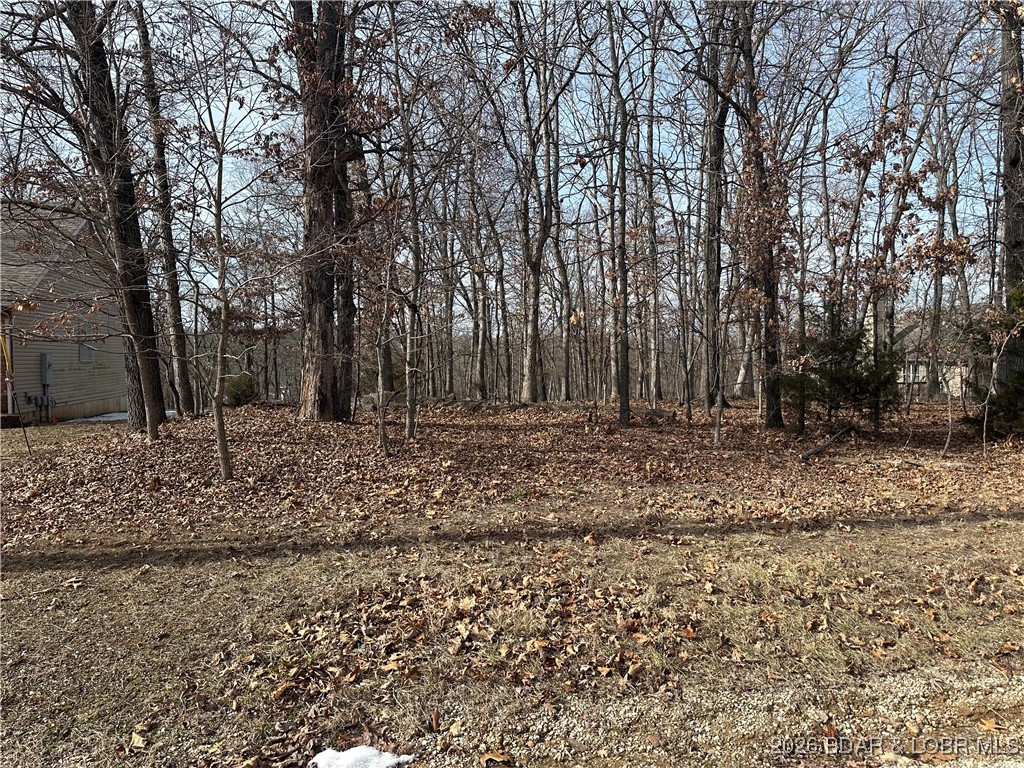 Lot 157 Anemone Road Property Photo 1