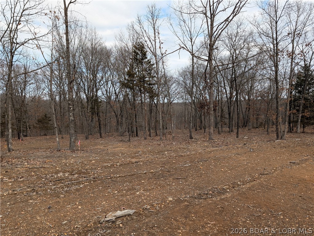 B West Ridge Property Photo 3