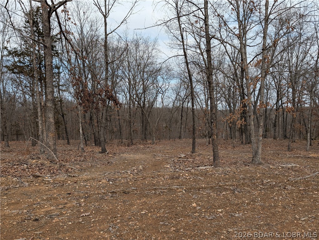 B West Ridge Property Photo 4