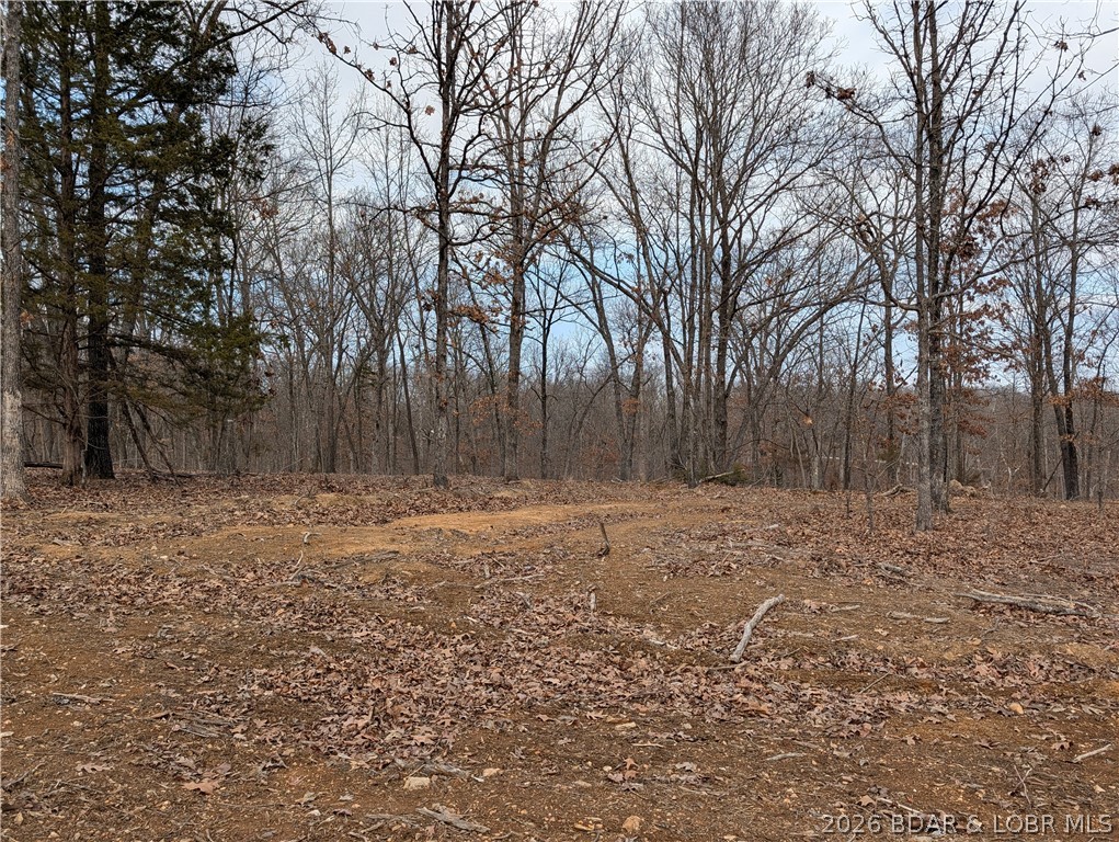 B West Ridge Property Photo 6