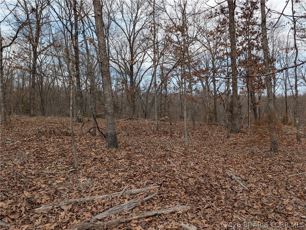 B West Ridge Property Photo 7