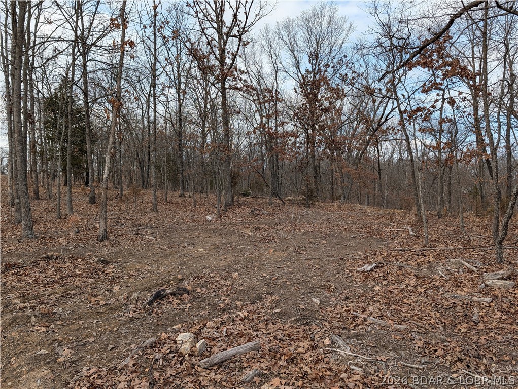 B West Ridge Property Photo 8