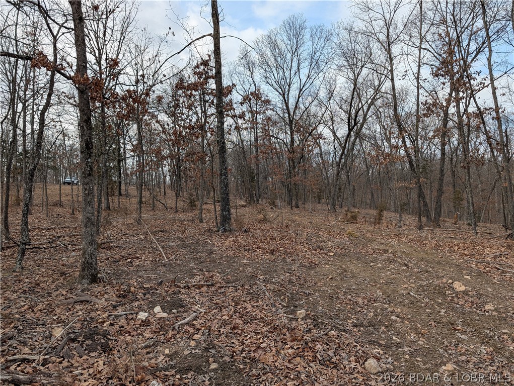 B West Ridge Property Photo 9