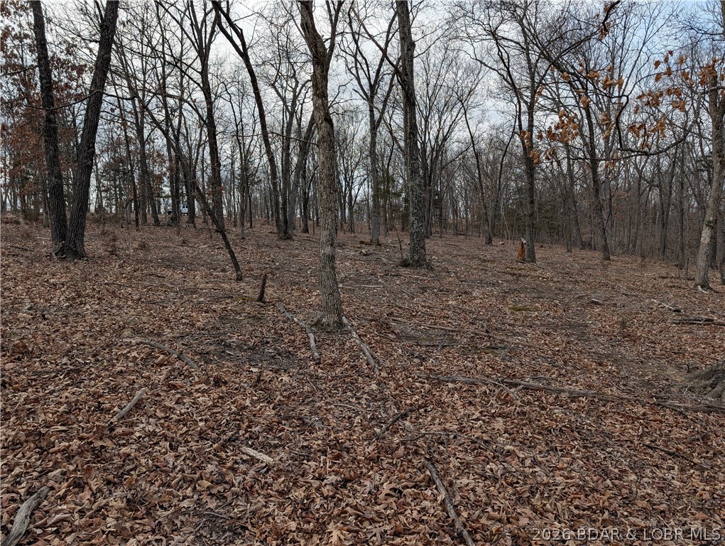 B West Ridge Property Photo 10