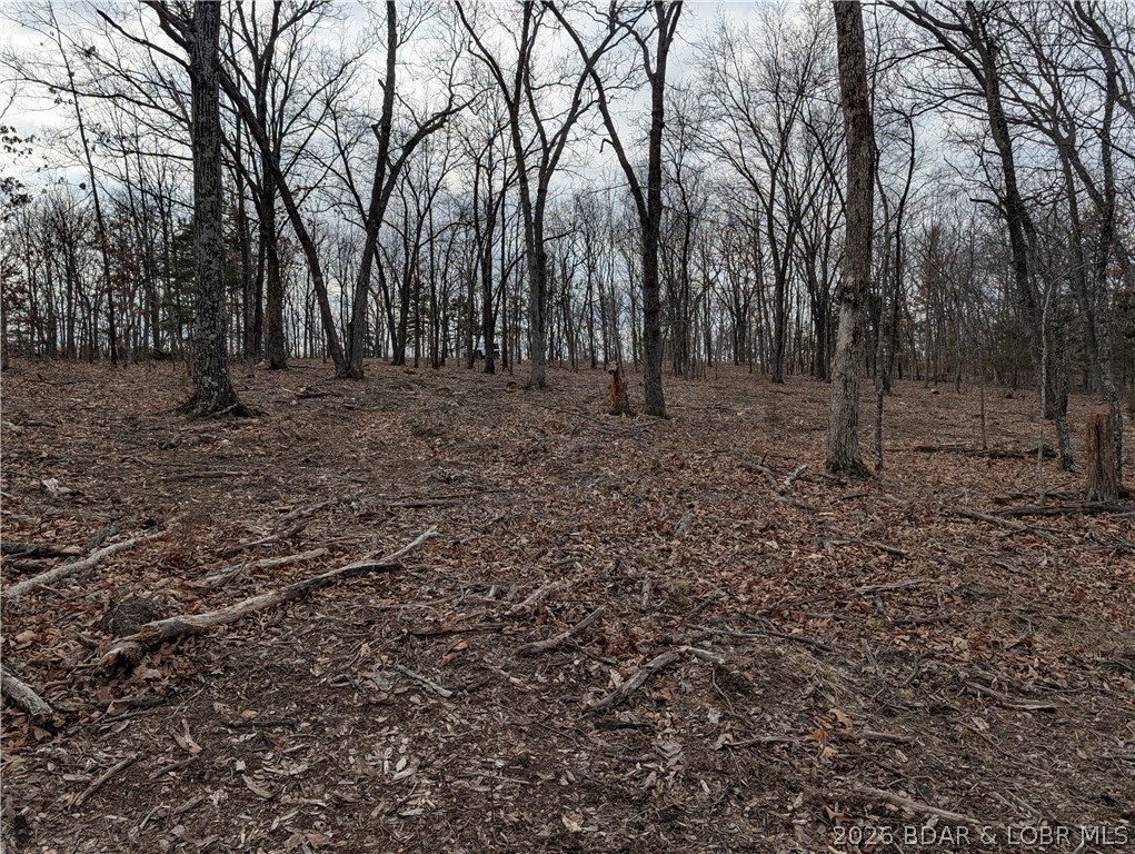 B West Ridge Property Photo 11