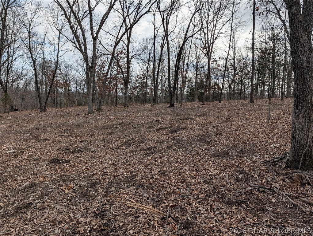B West Ridge Property Photo 14