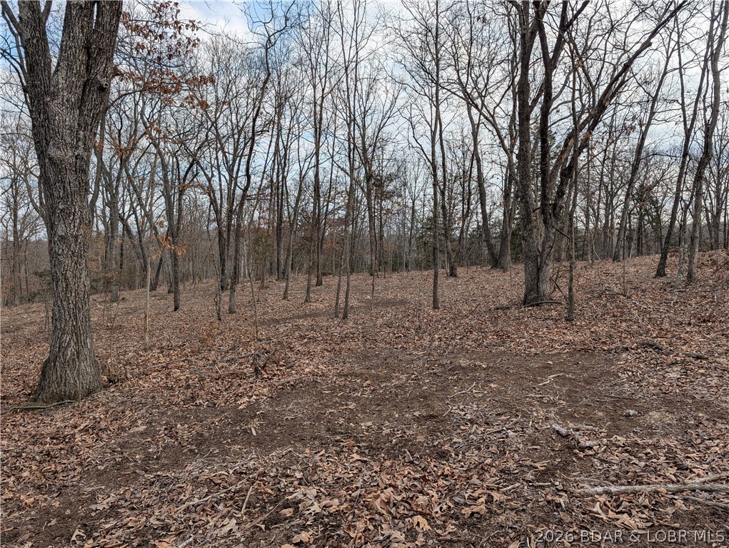 B West Ridge Property Photo 15