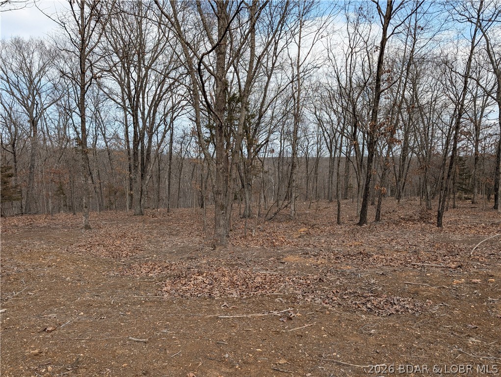 B West Ridge Property Photo 17