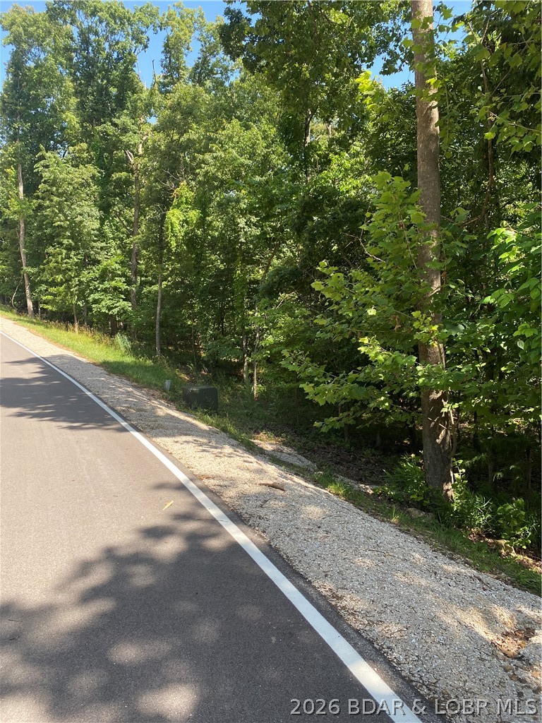 Lot 125 Veronica Lane Property Photo 1