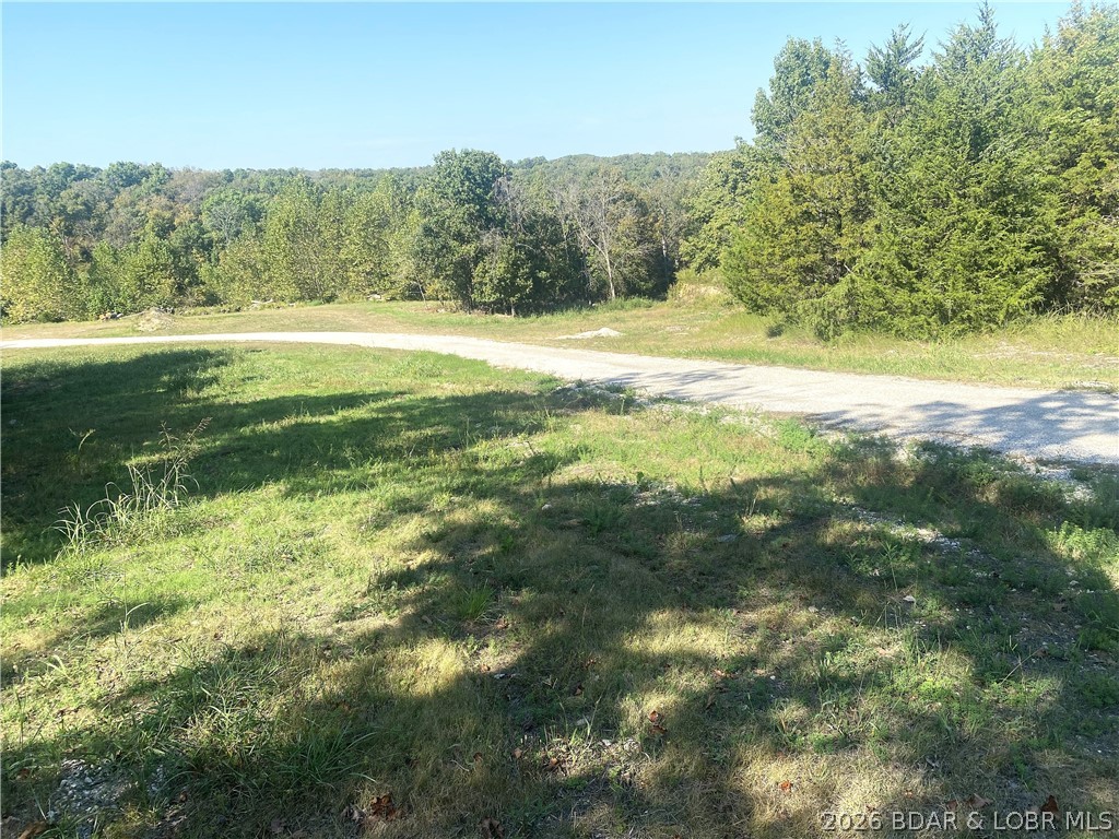 64 Ac Horseshoe Bend Parkway Property Photo 1