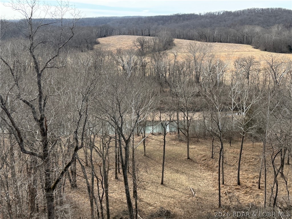 1378 Full Gallop Lane Property Photo 59