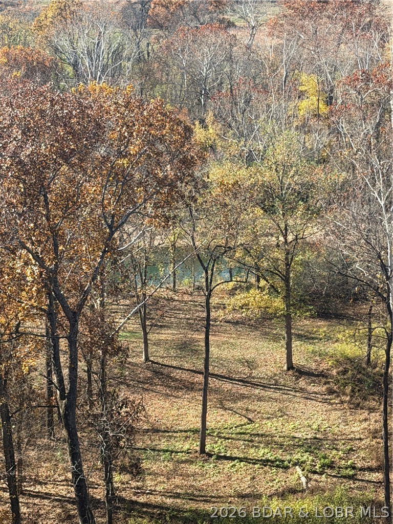 1378 Full Gallop Lane Property Photo 66