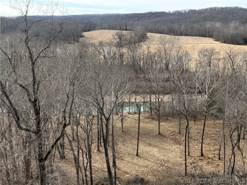 1378 Full Gallop Lane Property Photo 67