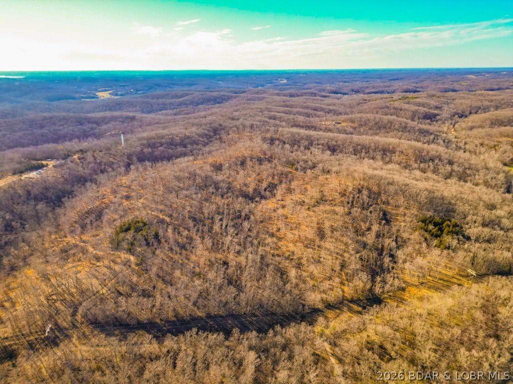 0 Oak Hill Forest Drive Property Photo 14