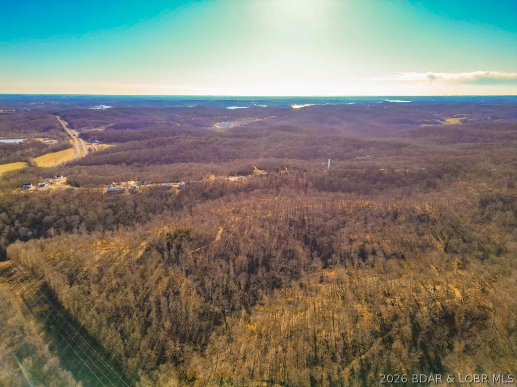 0 Oak Hill Forest Drive Property Photo 15
