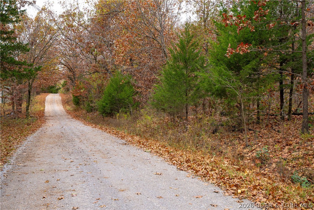 Emerald Hills Drive Property Photo 14