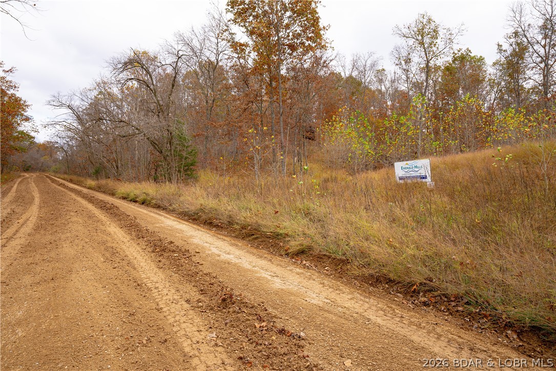 Emerald Hills Drive Property Photo 20