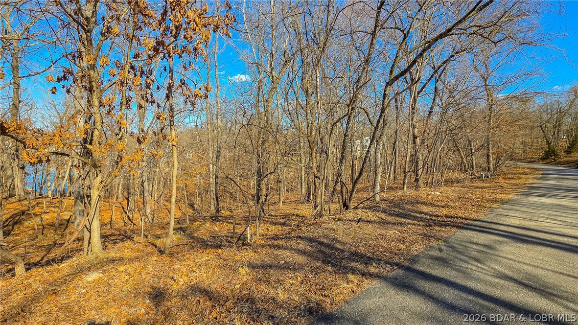 Lot #322 Oak Drive Property Photo 1