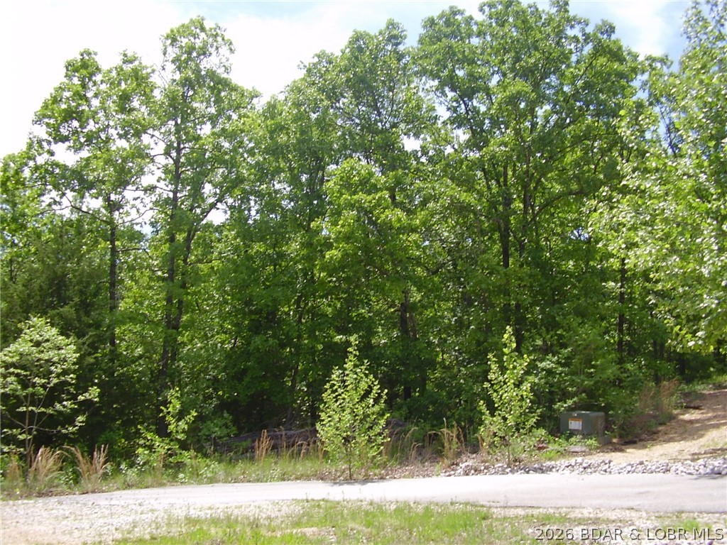 22 Silver Spur Court Property Photo 1