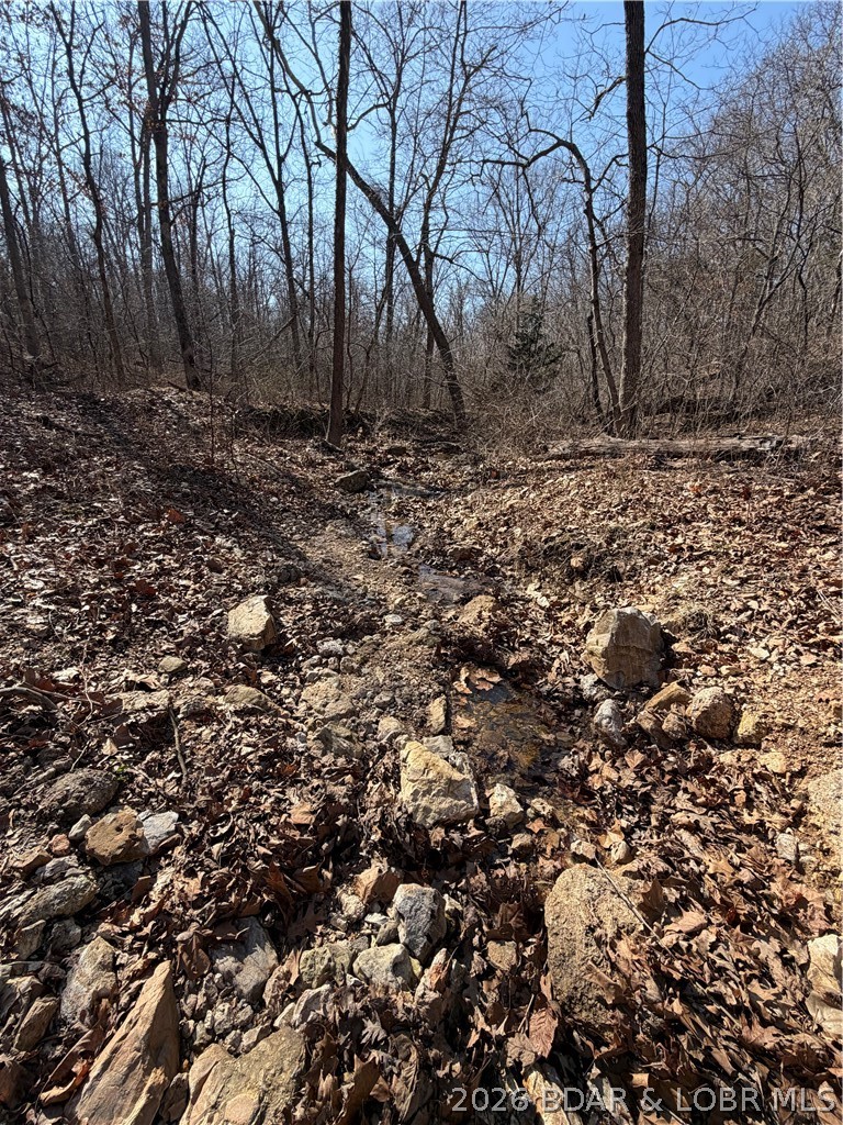 Tbd Beechnut Road Property Photo 7
