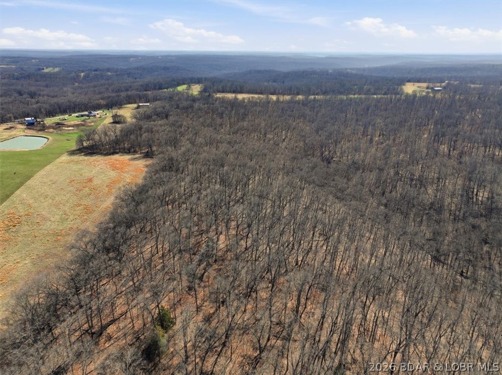 Tbd Beechnut Road Property Photo 16