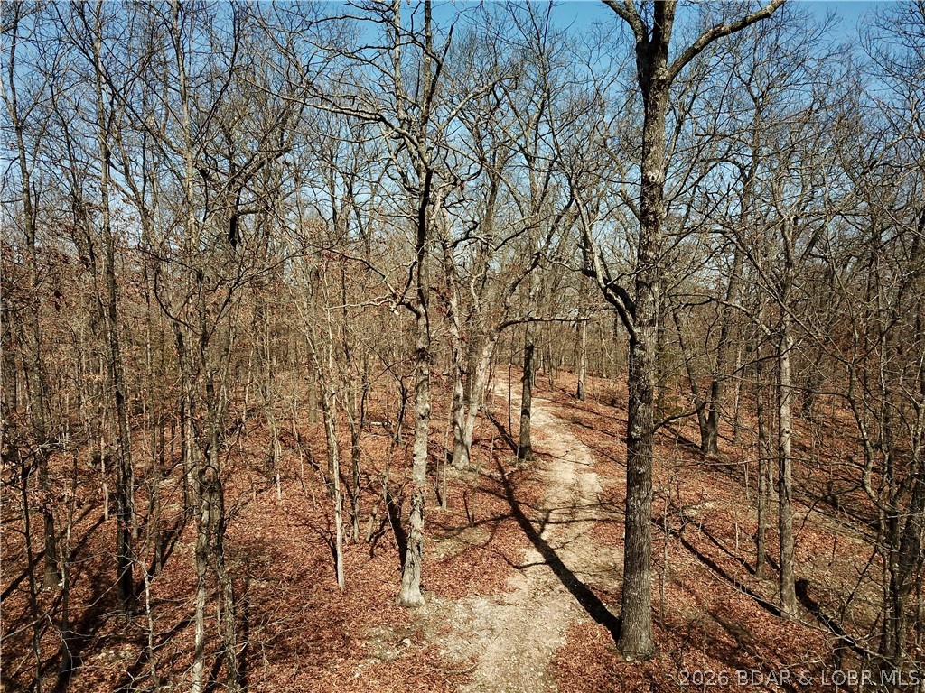 00 Red Fox Road Property Photo 3