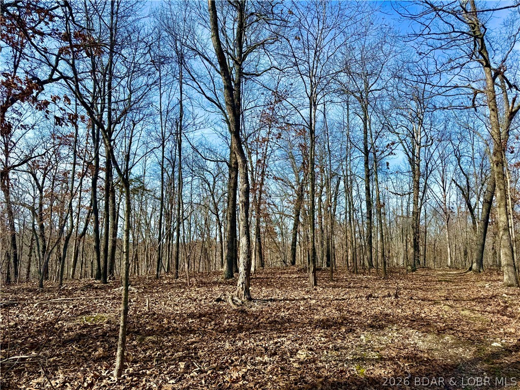 00 Red Fox Road Property Photo 8